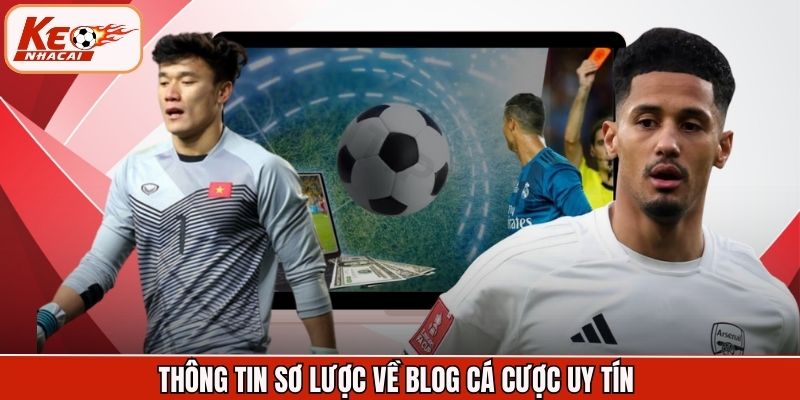 Thông tin sơ lược về blog cá cược uy tín