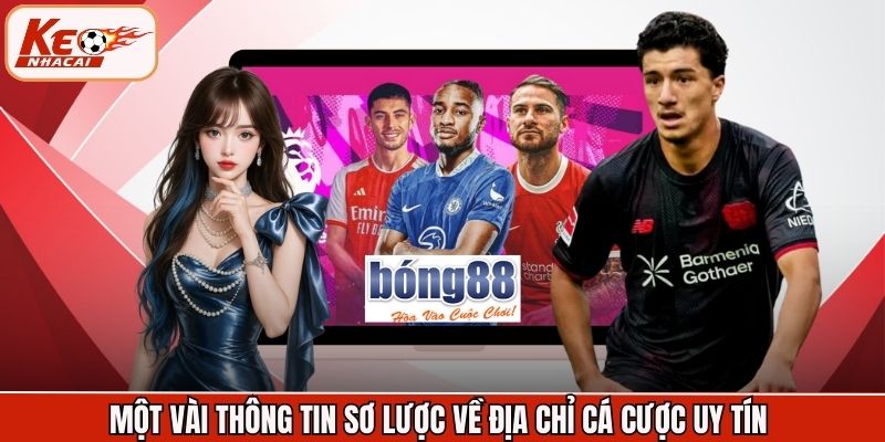 Một vài thông tin sơ lược về địa chỉ cá cược uy tín