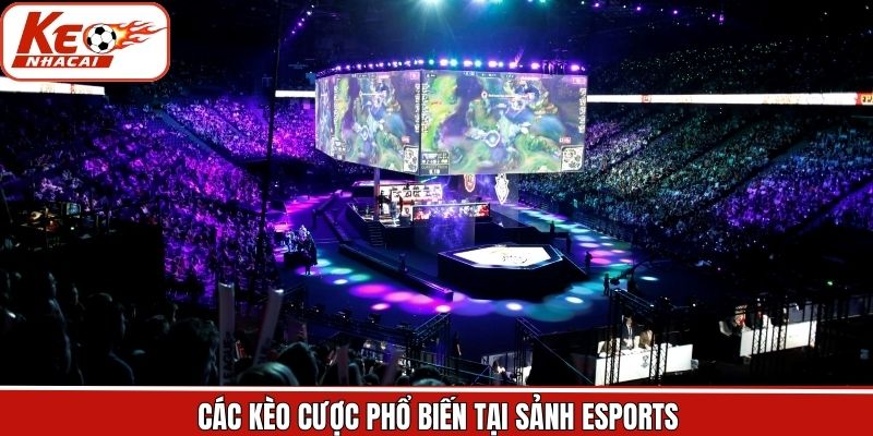 Kèo cược nổi tiếng trong thể thao điện tử