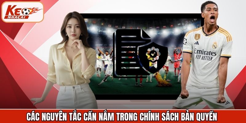 Các nguyên tắc cần nắm trong chính sách bản quyền 