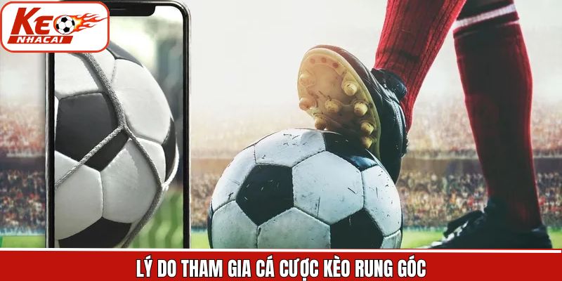 Lý do vì sao thành viên nên lựa chọn kèo rung góc