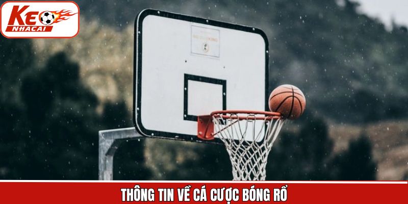 Tổng quát về bộ môn cá cược thu hút người dùng