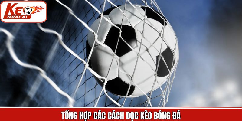 Khám phá các cách đọc kèo bóng đá chính xác nhất cho hội viên