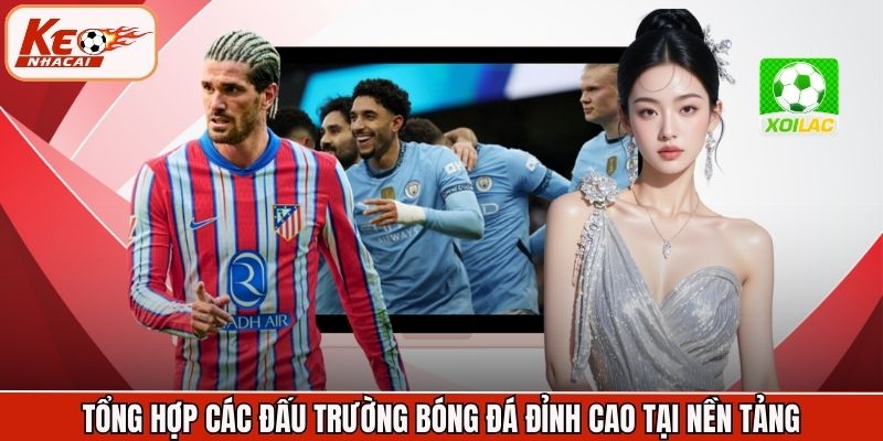 Tổng hợp các đấu trường bóng đá đỉnh cao tại nền tảng